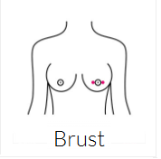 Brust