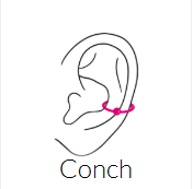 Conch