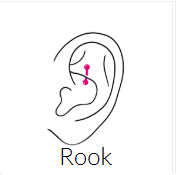 Rook