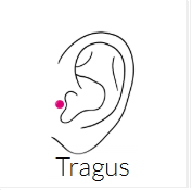 Tragus